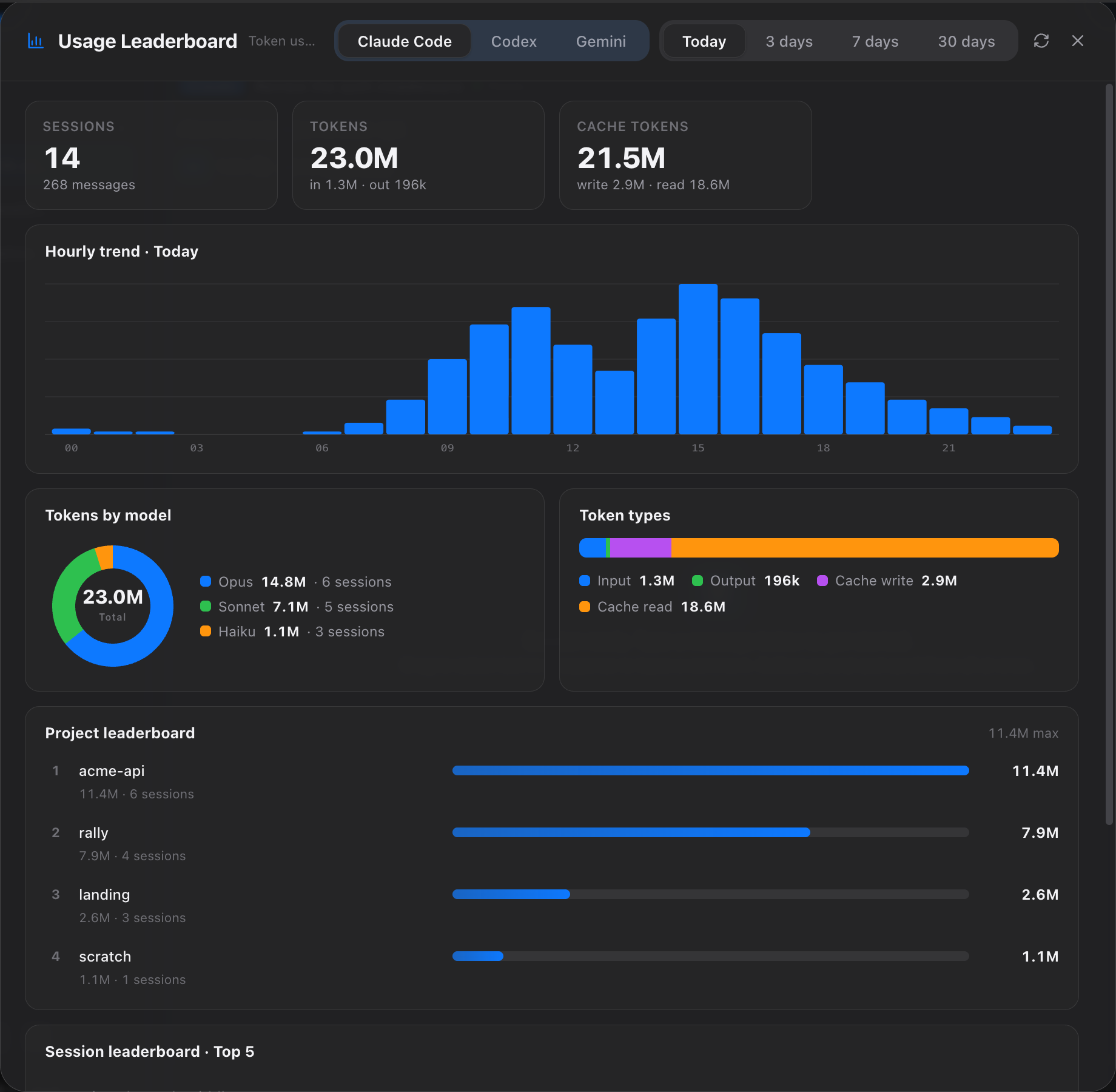 Rally usage dashboard with token totals, hourly trend, token types, and project leaderboard.